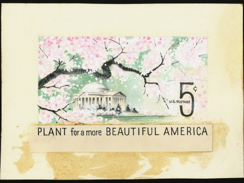 Stamp with cherry blossoms