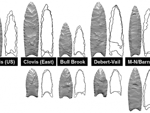 graph comparing stone tools