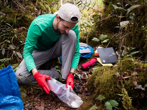 Man in a backwards cap, pants, and long sleeve shirt crouches down in forest with clear container and red latex gloves.