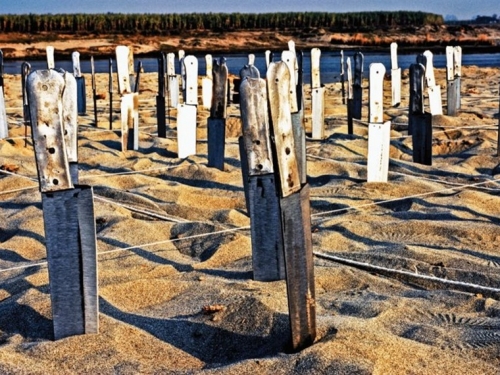 Artwork depicting a riverbank with various stakes driven into the sand