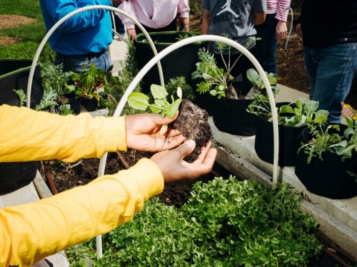 Picture of outstreched arms in yellow sleeves holding soil and plants in their hands.