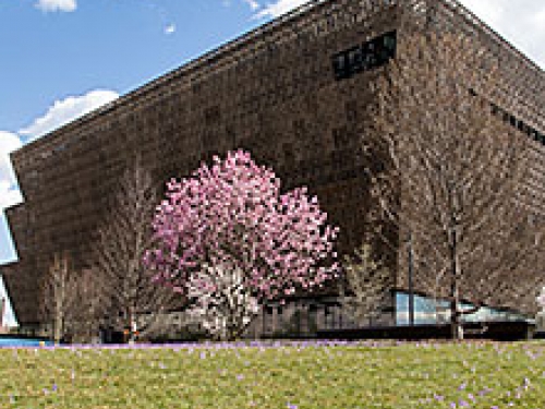 African American Museum building exterior