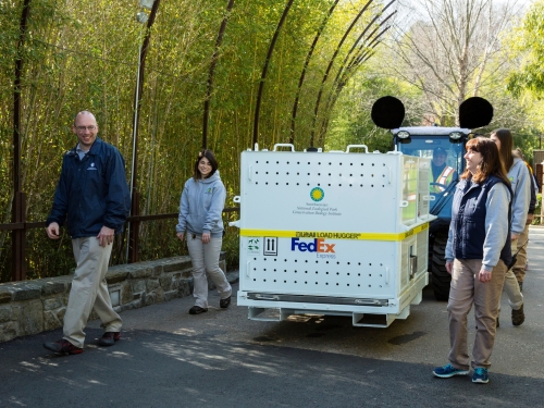 Zoo workers with Fed Ex branded crate