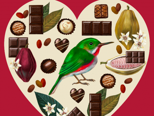 Illustration of a hummingbird surrounded by chocolate products, all framed by a cartoon heart