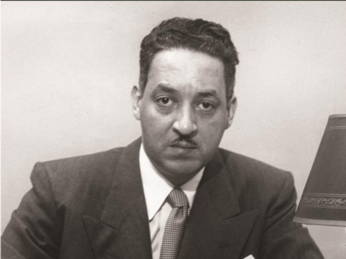 Thurgood Marshall book cover.