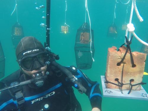 Diver floats next to suspended panels in the water