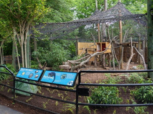 Zoo enclosure with pathway