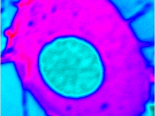 False color image of carbon moleculre