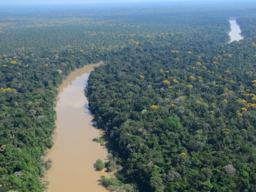 Ariel view of river and surrounding forest