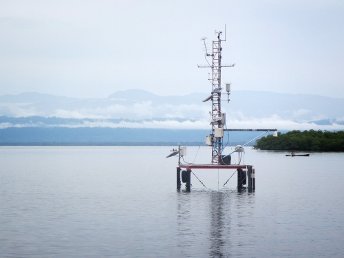 The research platform at the Bocas STRI station, where the microplastics were deployed. 