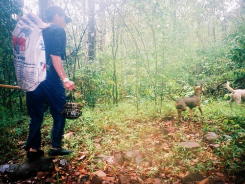 Thailand poachers caught on camera trap