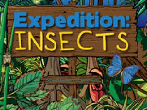 Expedition: Insects
