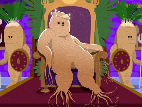 Illustration with ginseng creature on a thrown