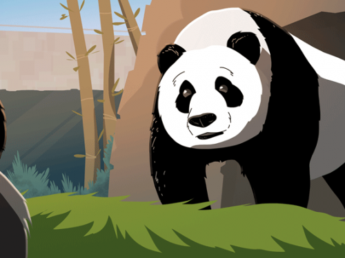 giant panda illustration