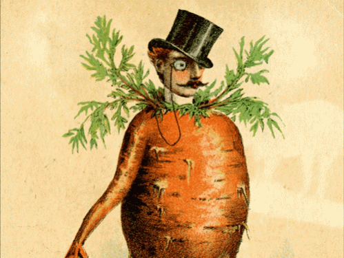 carrot man