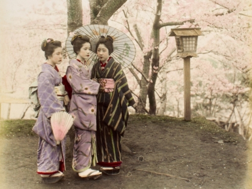 tinted portrait of Japanese women in kimonos among cherry blossoms