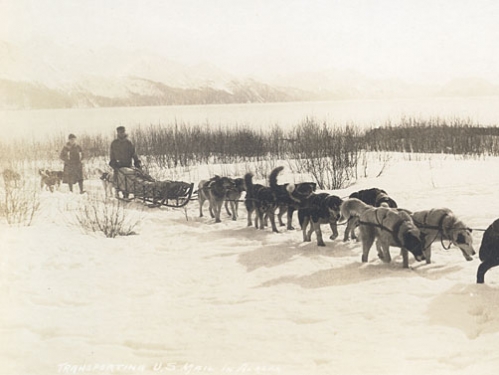 Alaskan Dog Sled Mail Carrier, 1910