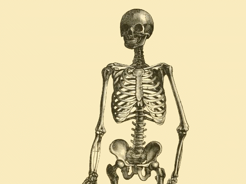 Waving Skeleton