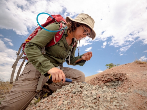 Monica Carvalho breaking rocks to find fossil leaf deposits.