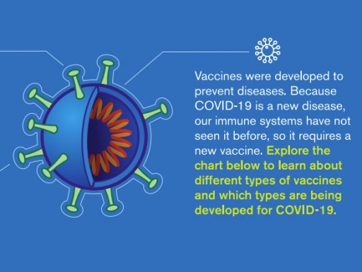 Types of covid vaccines