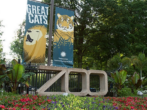 Zoo entrance.