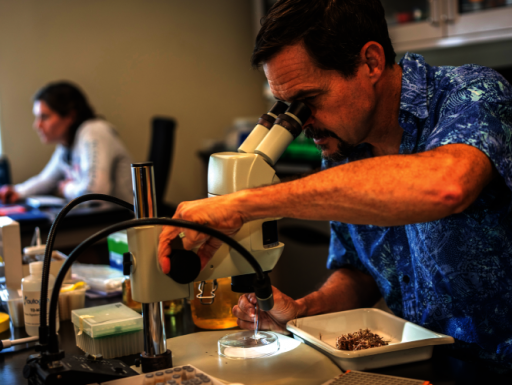 man in blue shirt at microscope