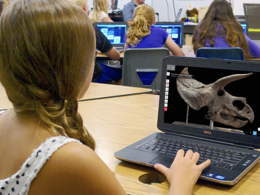 一名年轻学生在学习实验室平台上探索化石。