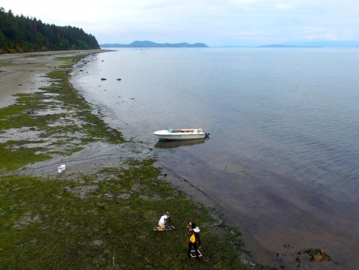 A coastline with a marsh, a boat, and two people in the foreground. 