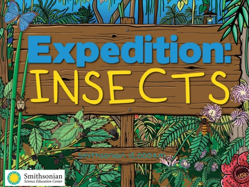 Image: an illustration of a sign in an overgrown forest. Words: Expedition: Insects