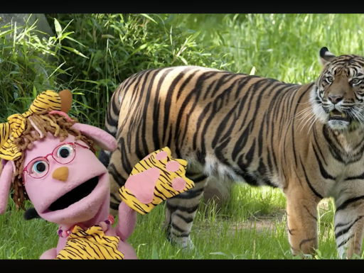 A pink puppet introduces a tiger