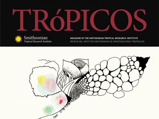 Screenshot of a cover of Tropicos magazine that highlights resilience. 