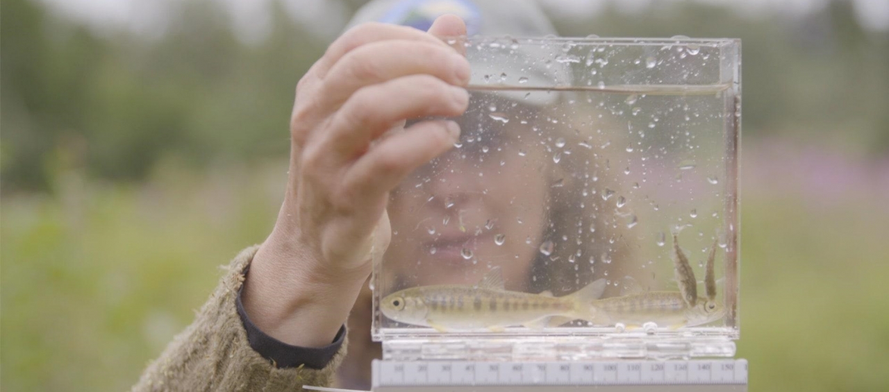 A woman holds up a plastic container in front of her face. The container holds a juvenile salmon. 
