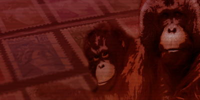 Stylized orangutan illustration.