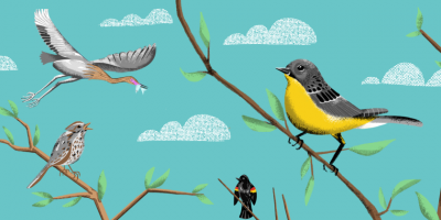 illustrated birds.