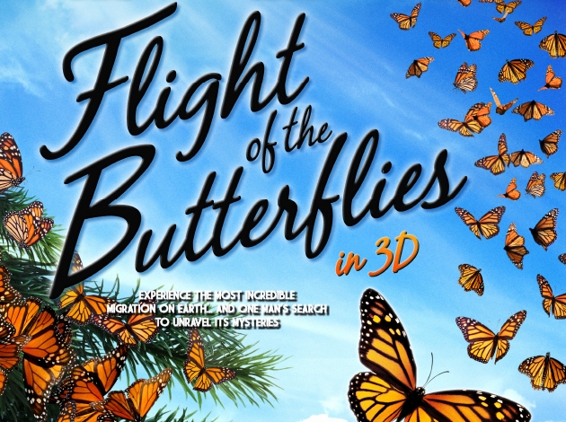 Flight of the Butterflies 3D Image