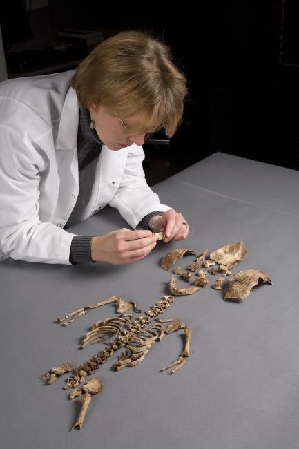 Karin Bruwelheide with skeleton
