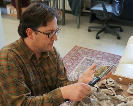 Anthropologist looks at fossil