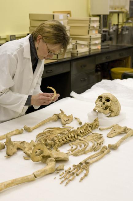 Karin Bruwelheide with skeleton