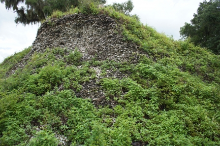 Mound of shells with overgrown vegetation