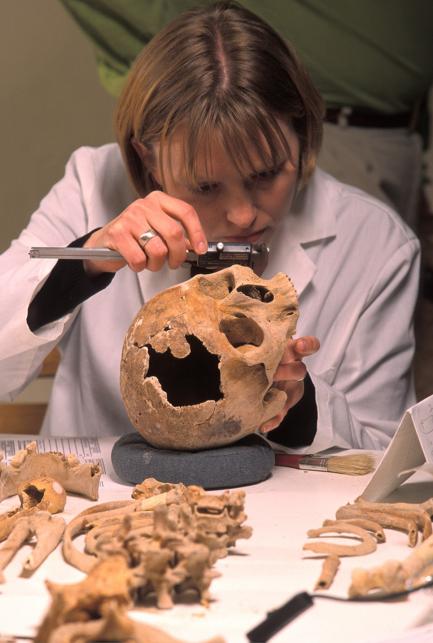 Karin Bruwelheide with skull