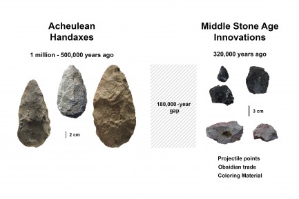 Comparison of stone axes