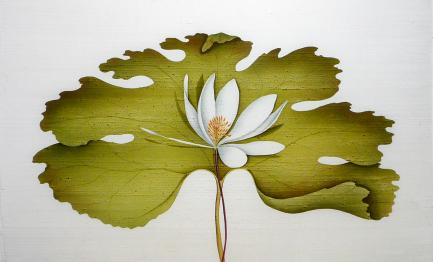weaving of lotus leaf