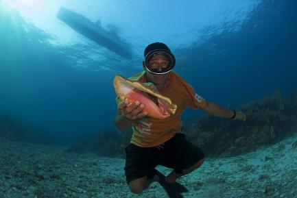 diver with conch