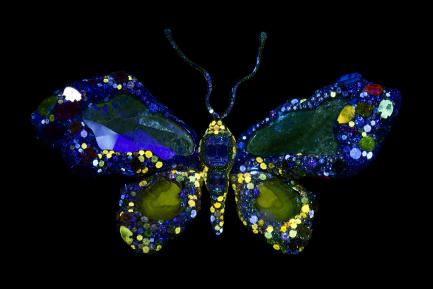 Cindy Chao Royal Butterfly Brooch - Fluorescent Front View
