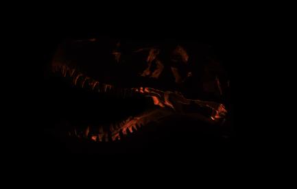 T. rex Skull in the Dark