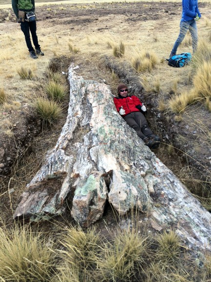 Person lying in trench next to fossil tree