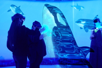 People interacted with augmented reality version of an orca