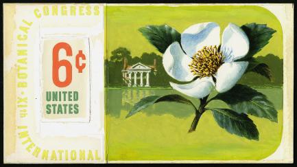 Stamp art showing magnolia flower