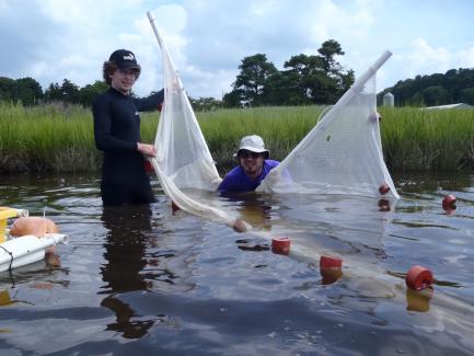 Biologists using net to capture fish samples