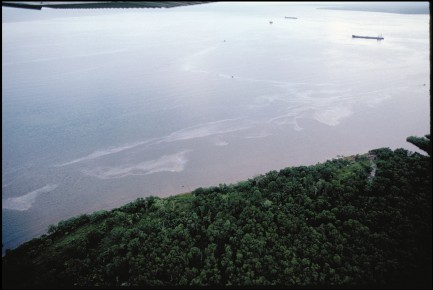 Shoreline seen from above